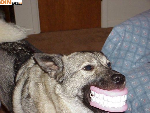 Smile :)