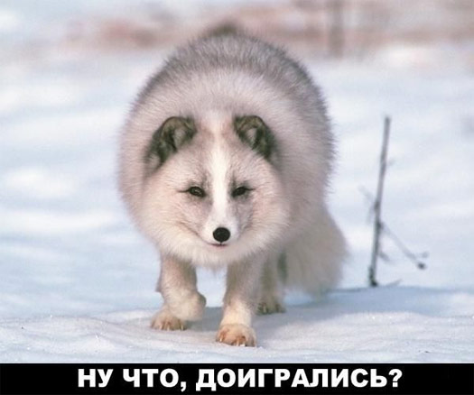 Ну что, доигрались?