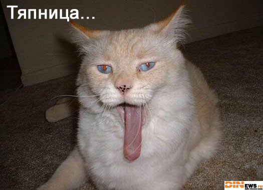 Дождались наконец Тяпницы! :)))