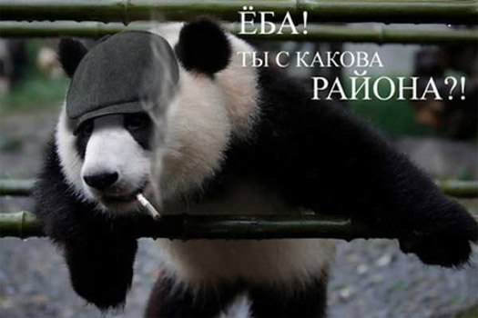 Ёба! Ты с какова района?!