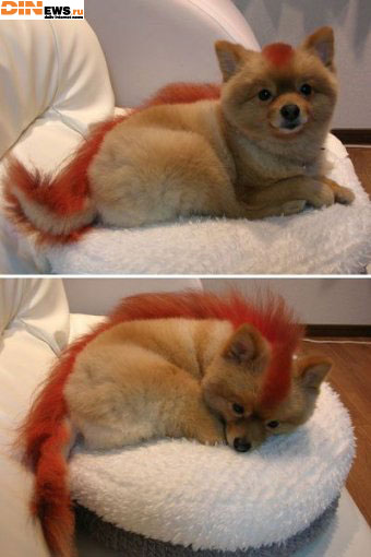 Вот он какой! FireFox 2.0! :)
