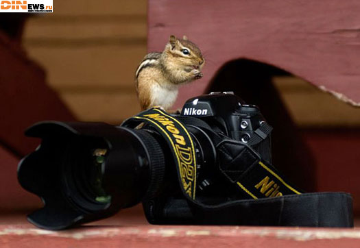 Фотолюбитель!