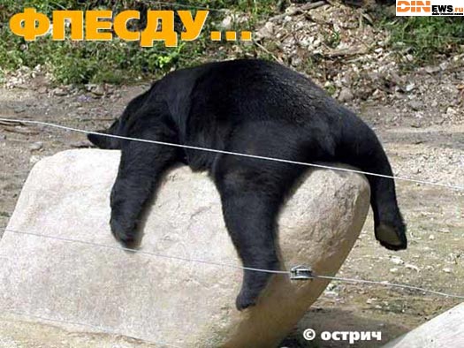 Фпесду...
