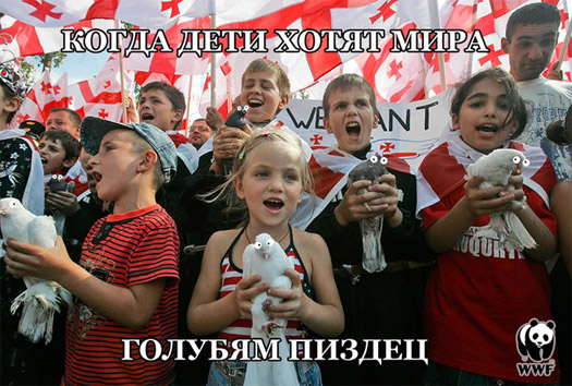 Когда дети хотят мира — голубям пистец!