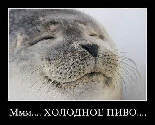 Тяпница... жара... и все мысли об одном! 