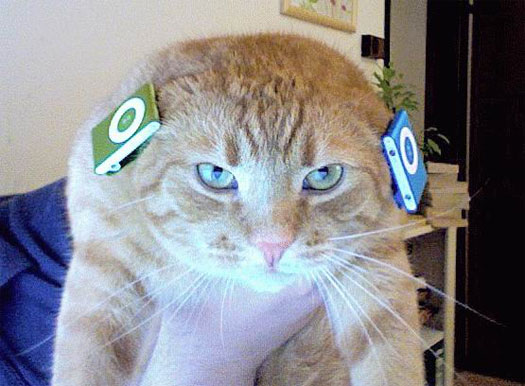 iCat Shuffle