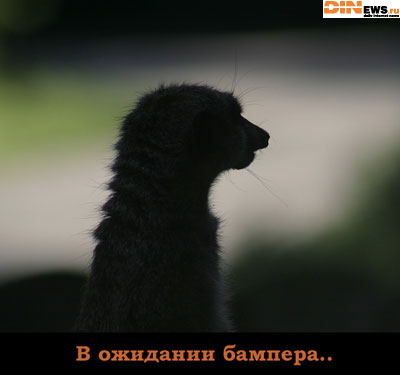 В ожидании бампера