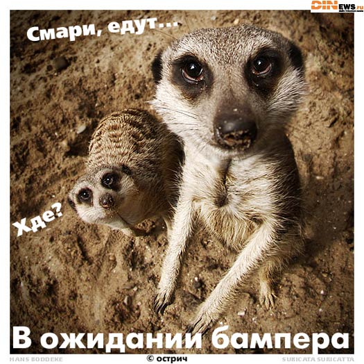 В ожидании... ну конечно бампера! :)))