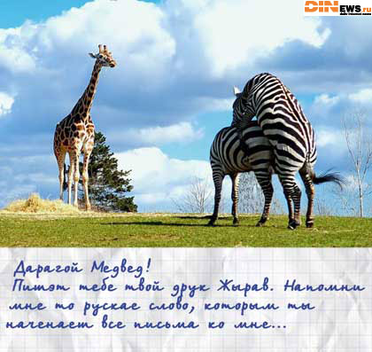 Письма из Африки...