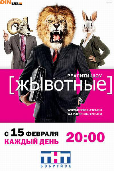 Реалити-шоу жЫвотные!