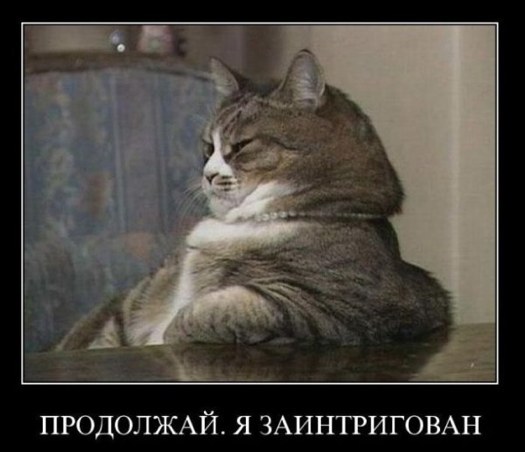 Продолжай, я заинтригован