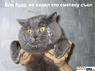Ну не знает он...