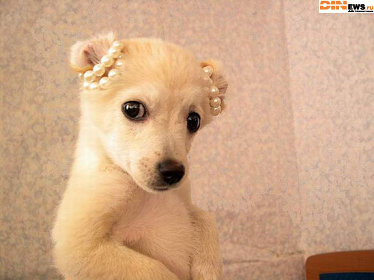 Кросавчег! :)