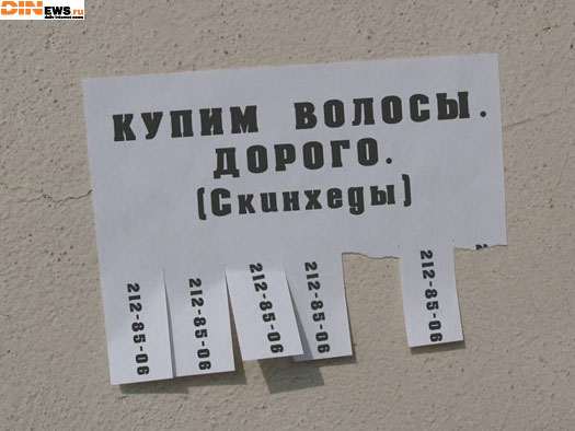 Купим волосы. Дорого. :))