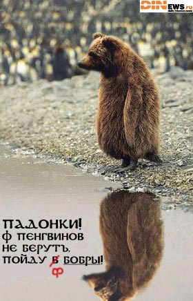 Падонки ф пенгвинов не верют, пойду ф БОБРЫ!