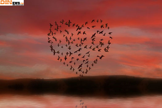 Love is...