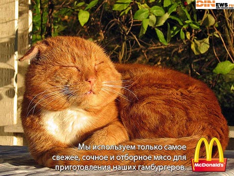 Мы используем только самое свежее, сочное и отбоное мясо...