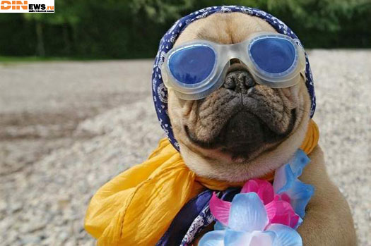 Все на пляж! Я готов! :)
