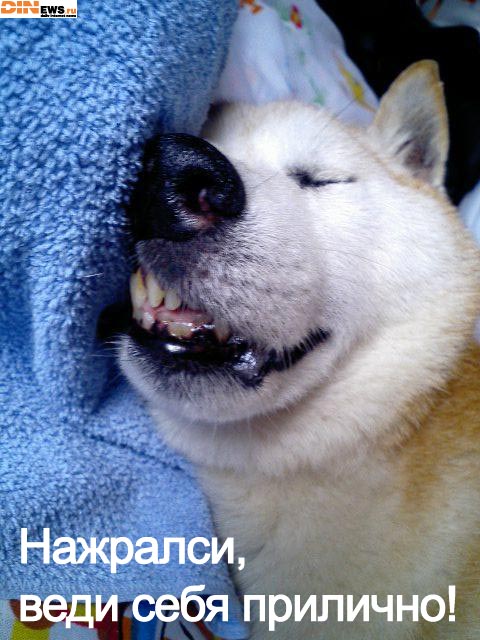 Надо меньше пить...