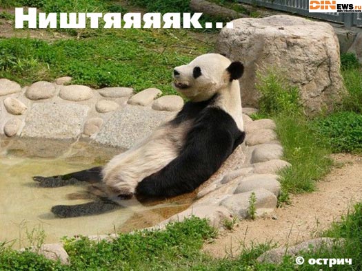 Ништяяяяк...
