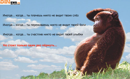 Но стоит только один раз...