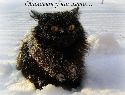 Обалдеть у нас лето