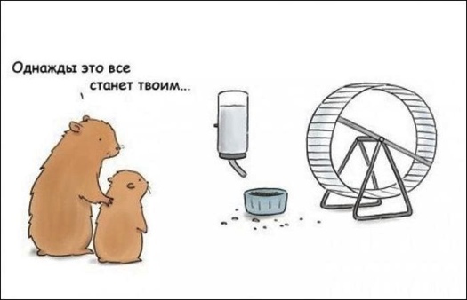 Однажды это все станет твоим...