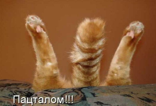 Пацталом!