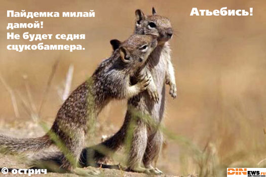 Пайдемка милай дамой! Не будет седня бампера... :)