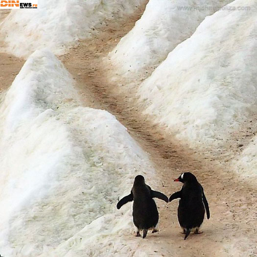 Friends...