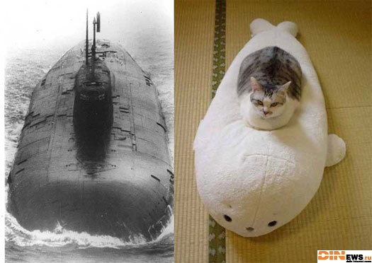 А ведь похоже...