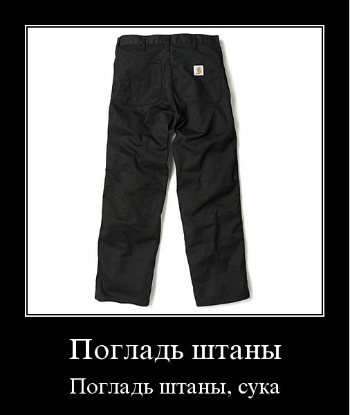 Погладь штаны, сука