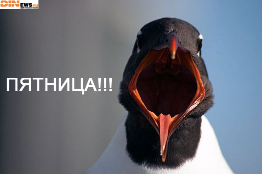 Ну наконец то! :)