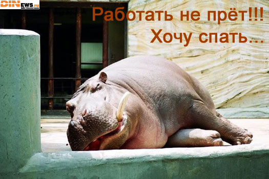 Работать не прёт!!! Хочу спать...