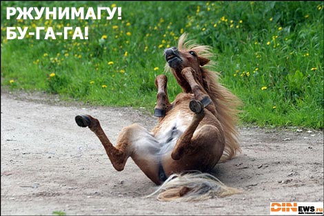 Ржунимагу! Бугага!