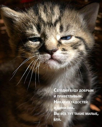 Сегодня я буду добрым...