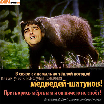 Медвед-Шатун!