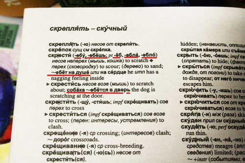 Правильный словарь!