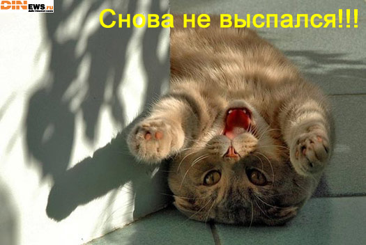 Снова не выспался... :(