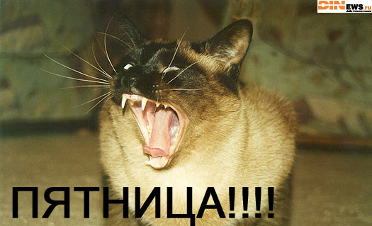 Ура ПЯТНИЦА!!!