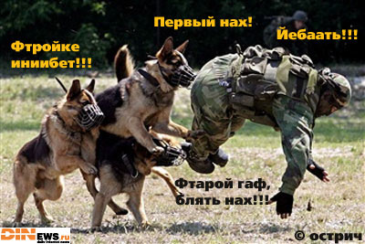 Кинолога на мыло!