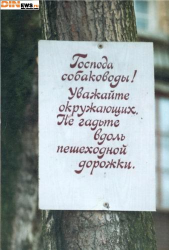 Господа собаководы...