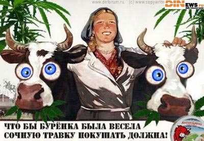 Правильная сочная трава