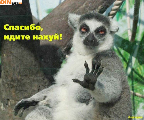 Спасибо!