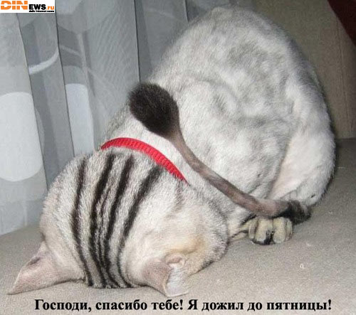 Пятница!!!