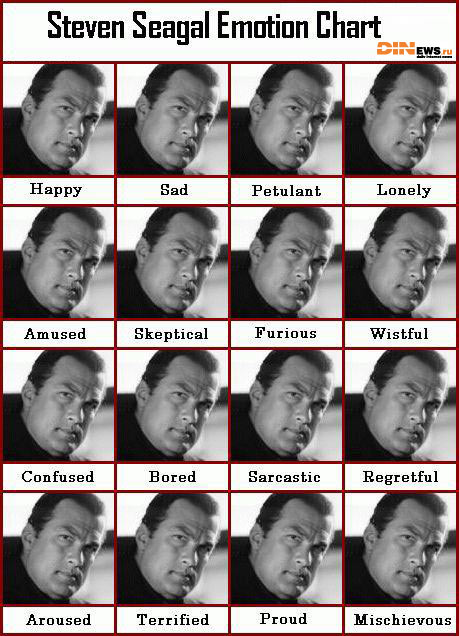 Steven Seagal Emotion Chart