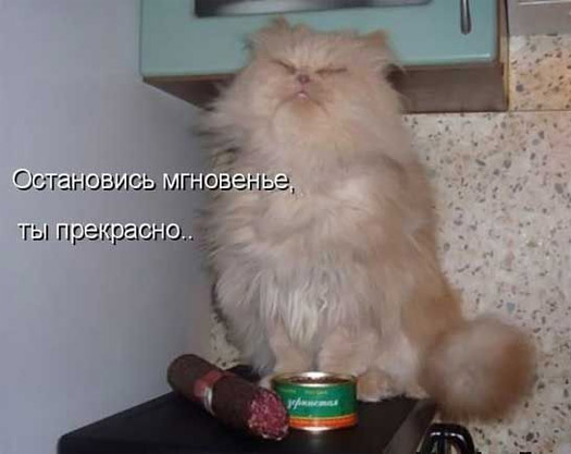 Остановись мгновенье, ты прекрасно...