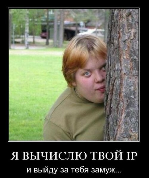 Я вычисляю твой IP!
