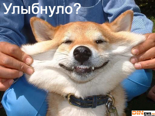 Улыбнуло?