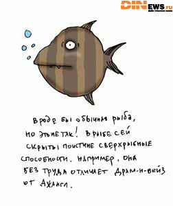 Вроде бы обычная рыба...